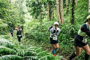 BIB: 
                            <button type="button" onclick="openModal(26371316)" class="btn btn-primary btn-sm float-right btn-popup" data-toggle="modal" data-target=".modal-high-quality">
                        <i class="fas fa-shopping-cart"></i> Add to Cart
                    </button>
                                            <button type="button" onclick="isThisMe(26371316, true)" class="btn btn-success btn-sm float-right btn-popup btn-isme hidden" data-toggle="tooltip" data-placement="bottom" title="นี่คือรูปของคุณใช่ไหม คลิกที่นี่เพื่อเอาเข้าอัลบั้ม">
                        <i class="fas fa-plus"></i> Add to album
                    </button>
                    <button type="button" onclick="isThisMe(26371316, false)" class="btn btn-warning btn-sm float-right btn-popup btn-isnotme hidden">
                        <i class="fas fa-ban"></i> Remove from album
                    </button>